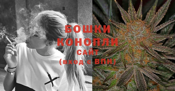 тгк Мегион