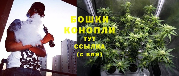 сатива Надым